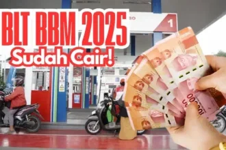 blt bbm 2025