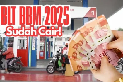blt bbm 2025