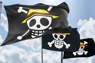 bendera one piece