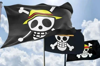 bendera one piece