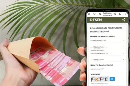 cek dtsen