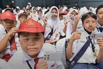 cek penerima pip