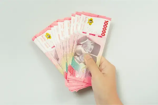 cara cek blt